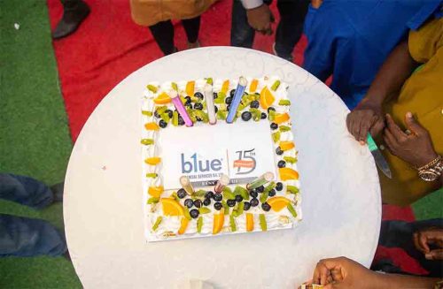 Blue @ 15 Cake